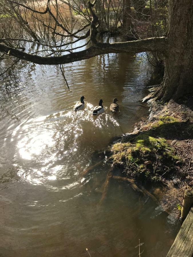 Spikergade 6 Lägenhet Tønder Exteriör bild